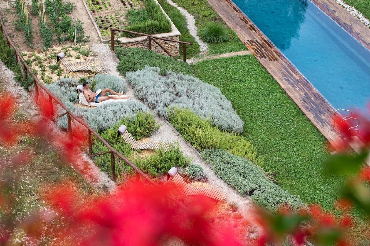 Dionisia'S Home, Pool, Spa On Monviso Unesco Alps Verzuolo Esterno foto